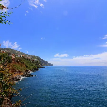 Quinta Araucaria Funchal Lejlighed *